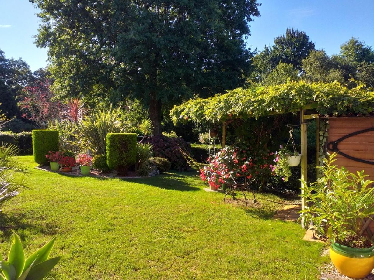 Rez-De-Jardin 50 M² Entre Biarritz Et Capbreton Lejlighed Ondres Eksteriør billede